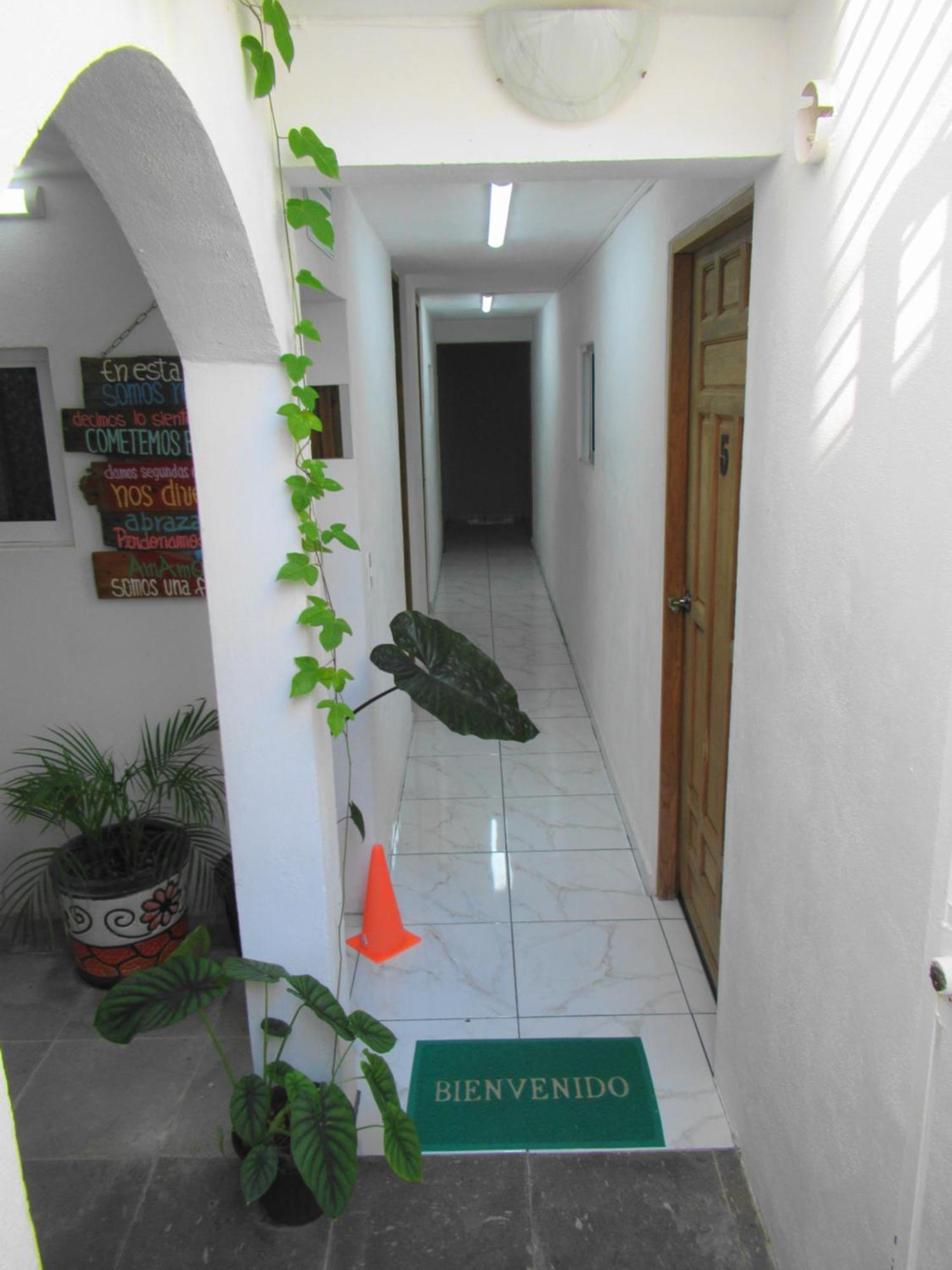 Cocos Apartment Cancun Exterior photo